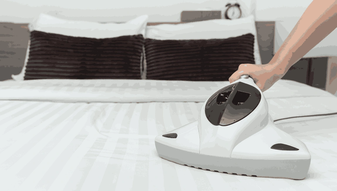 Professional Mattress Cleaning Long Forest
